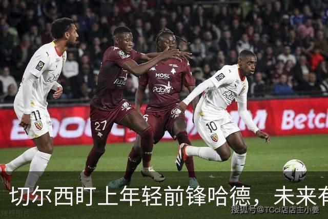 切尔西盯上年轻前锋哈德，未来有望签约